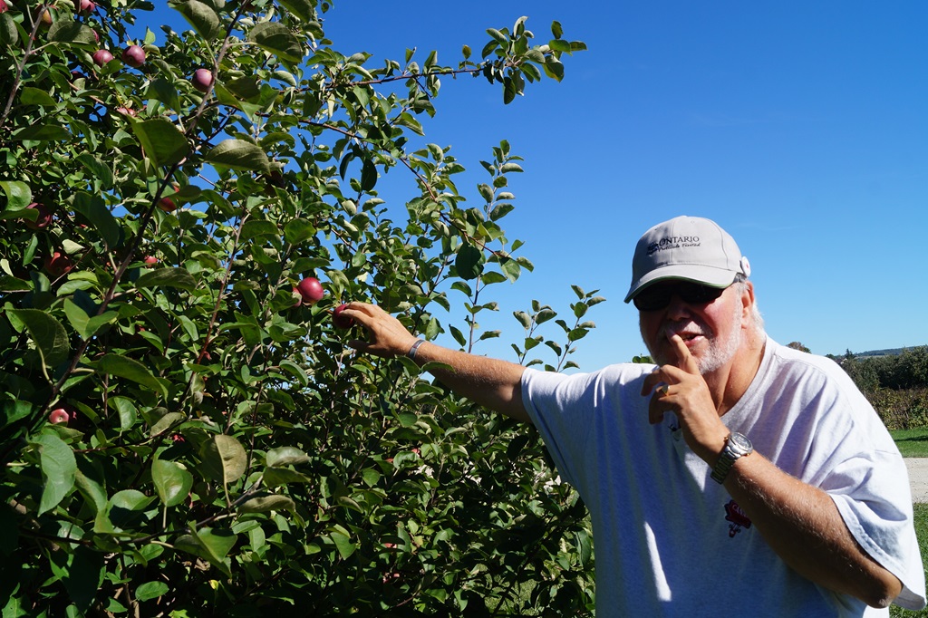 Apple Picking - Guide to Agritourism