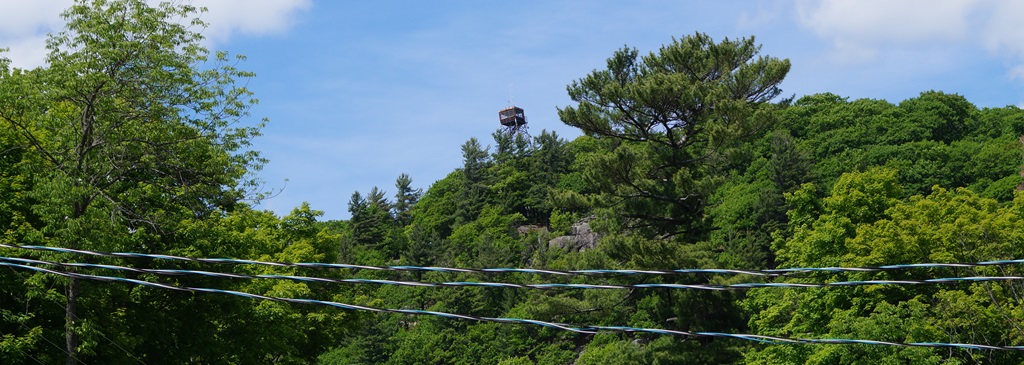 Dorset Lookout Tower