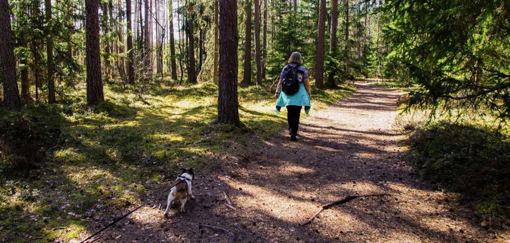 Georgian Trail